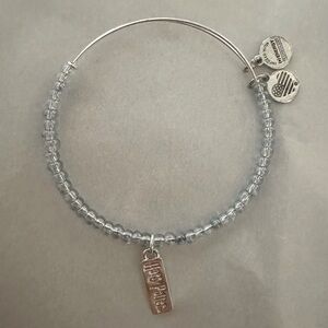 Alex and Ani Harry Potter Charm Bracelet Silver